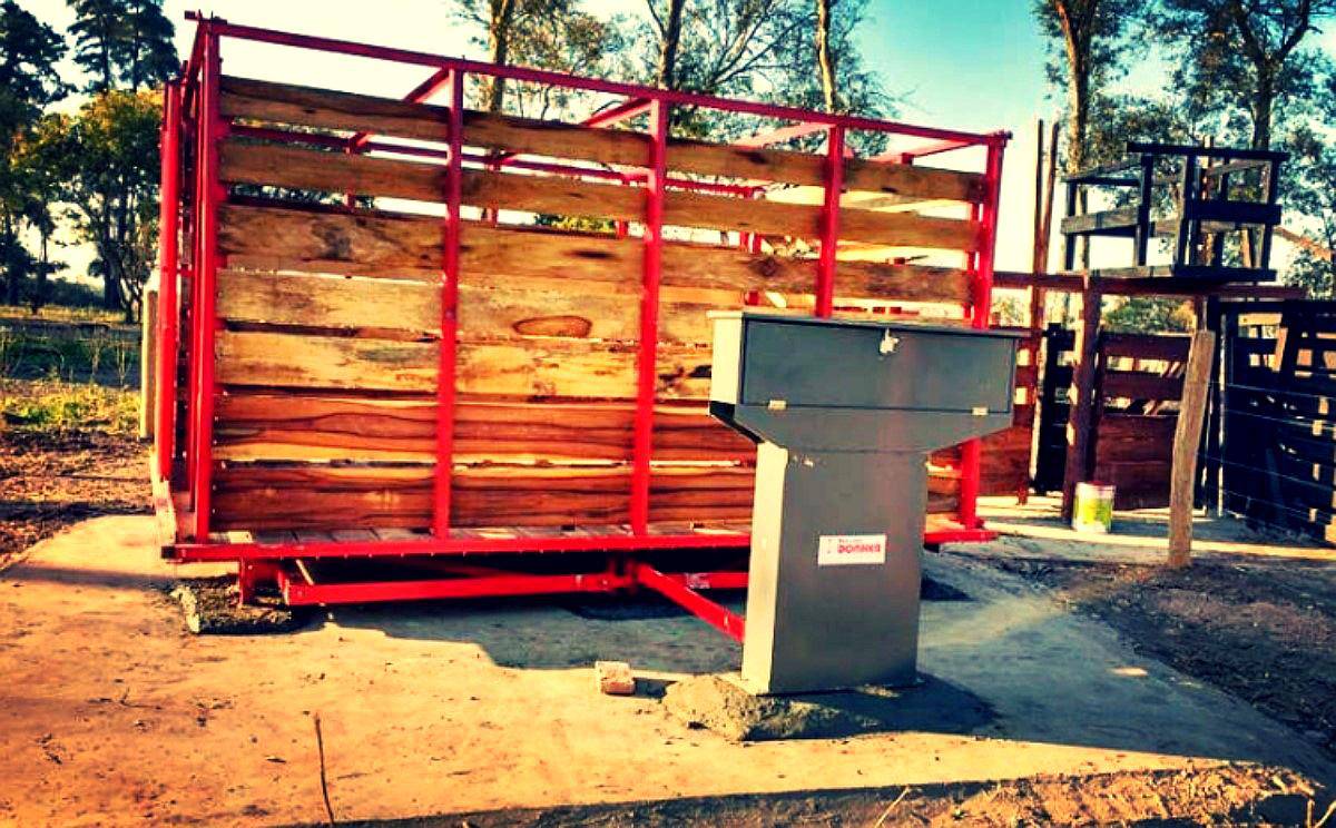 Balanza / Basculas - Hacienda 5.000kg - 10 Animales - Donher