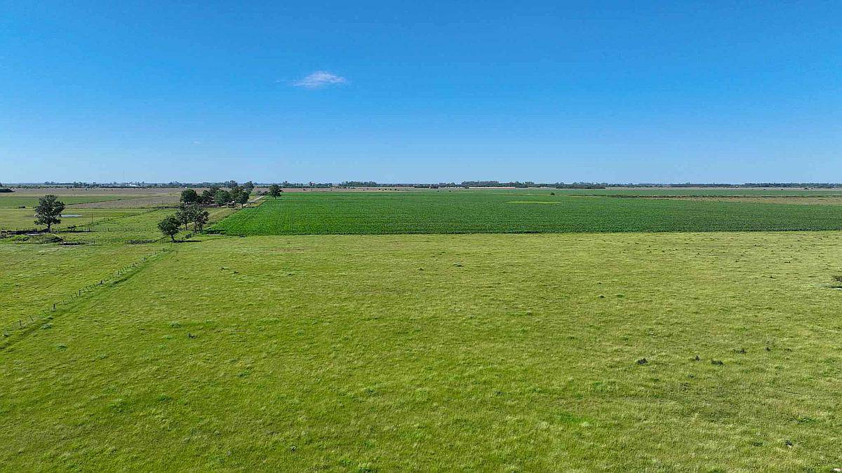 Pcia. de Santa FE - Perez 265 Has