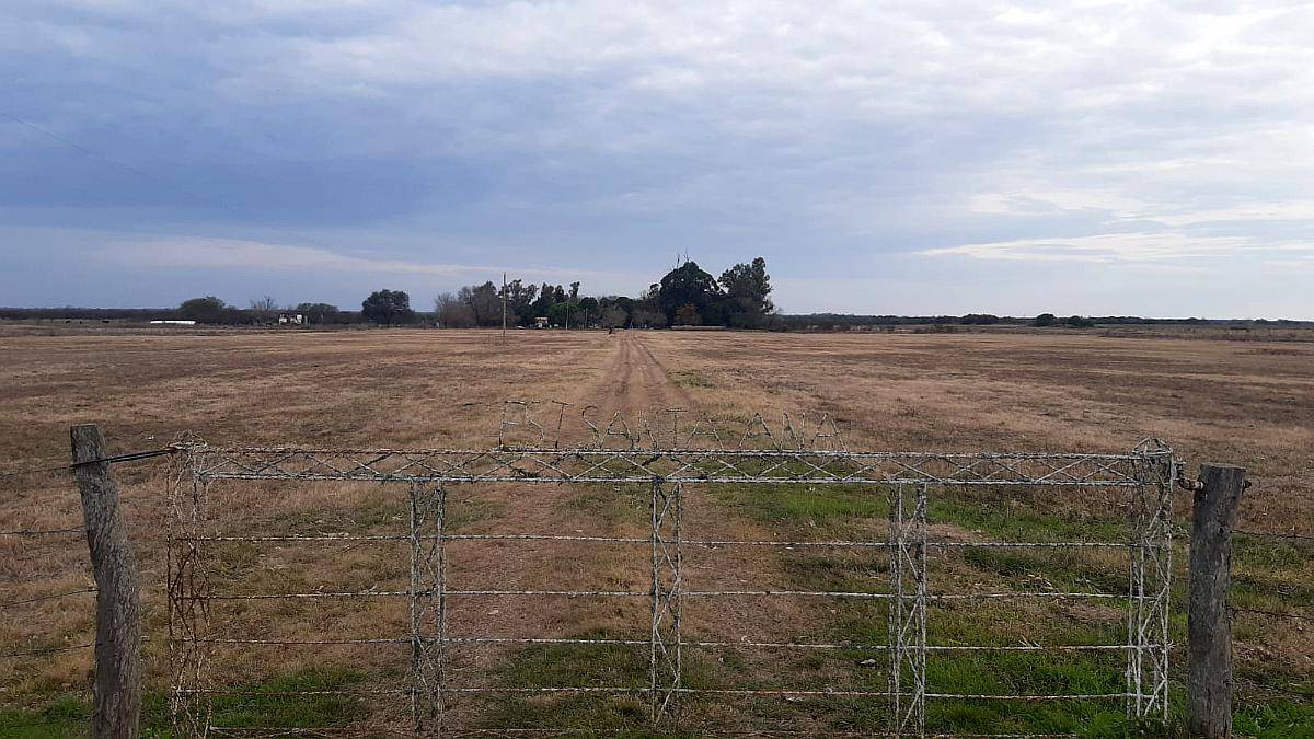 20,5 Ha Campo. con Casco. Buen Estado. Precio Inmejorable