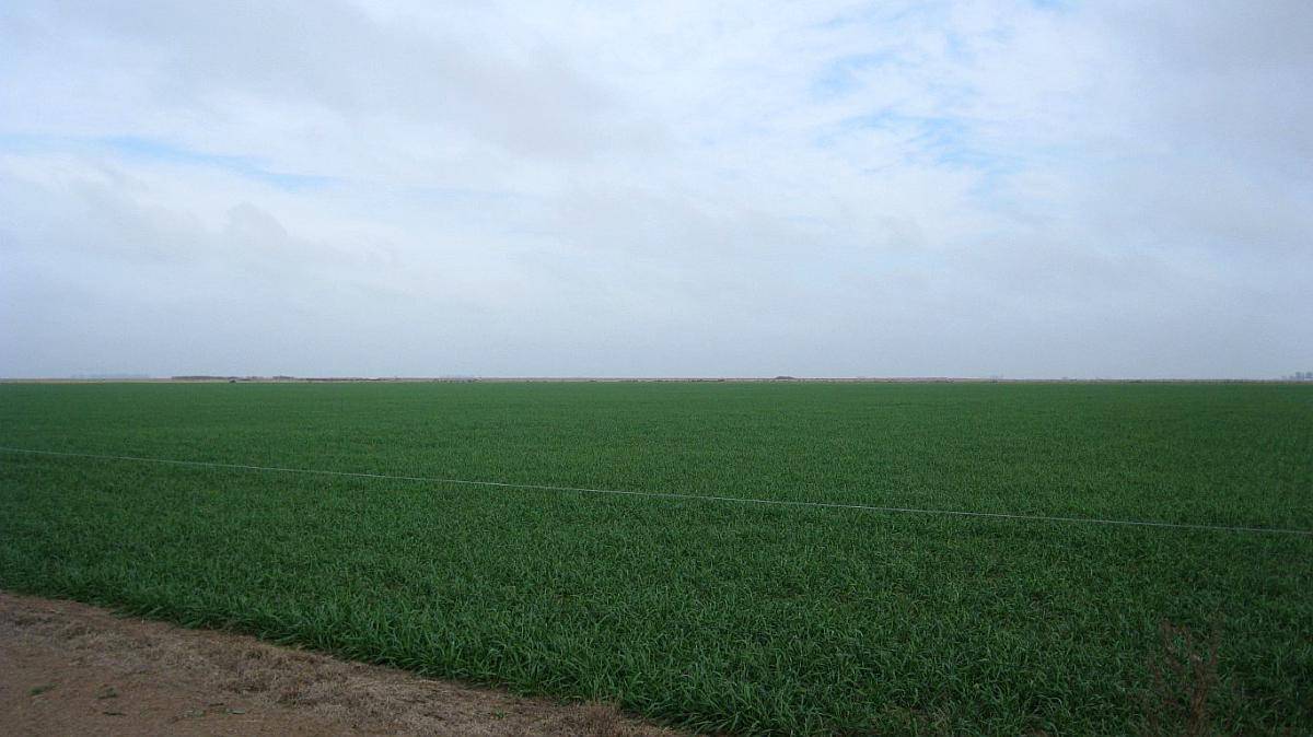 2.198 Has en Venta, Jovita - Córdoba