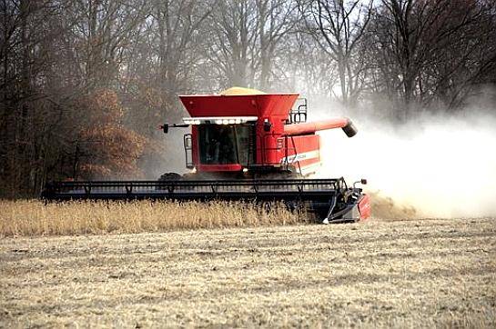 Cosechadora Massey Ferguson 9895