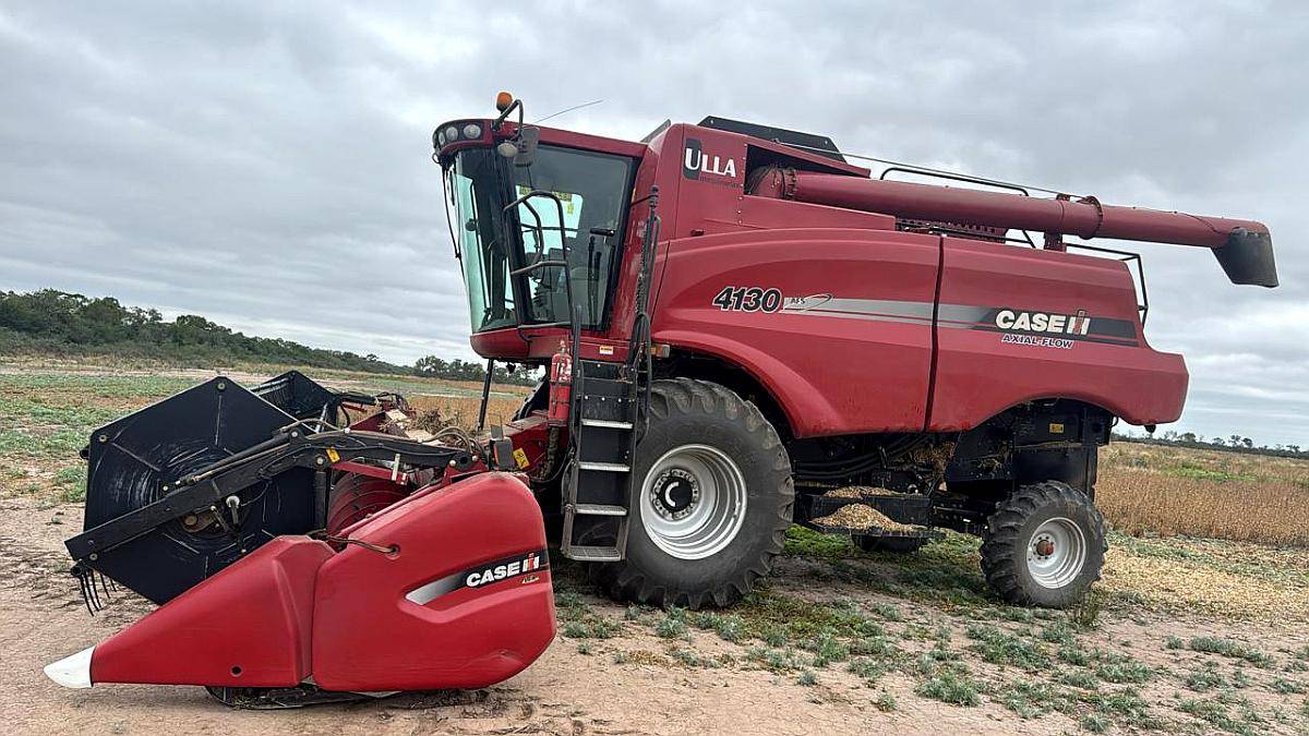 Casse 4130. año 2017. 3200 Has.