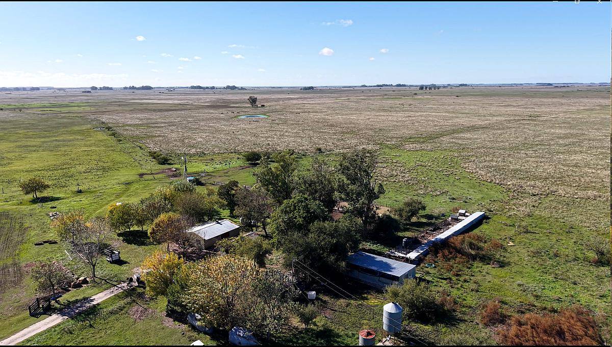 Vieytes (BS As): 200 Ha en Alquiler