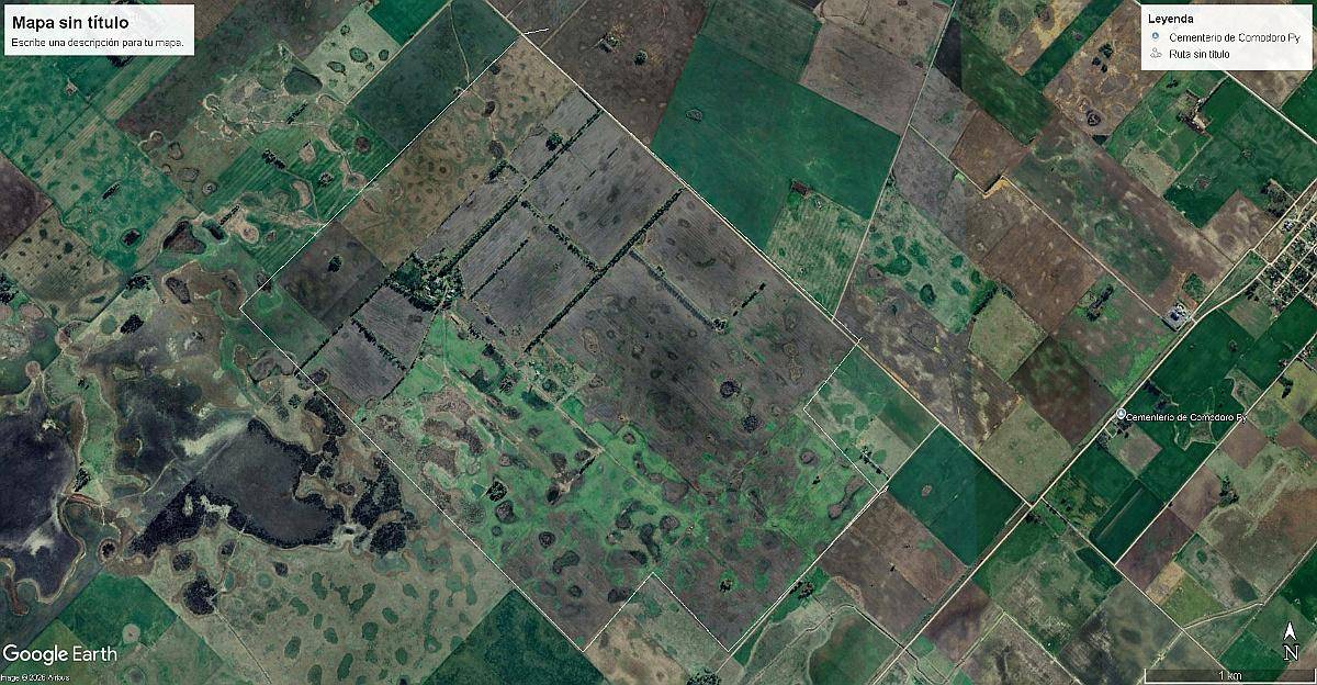 Realico la Pampa Argentina