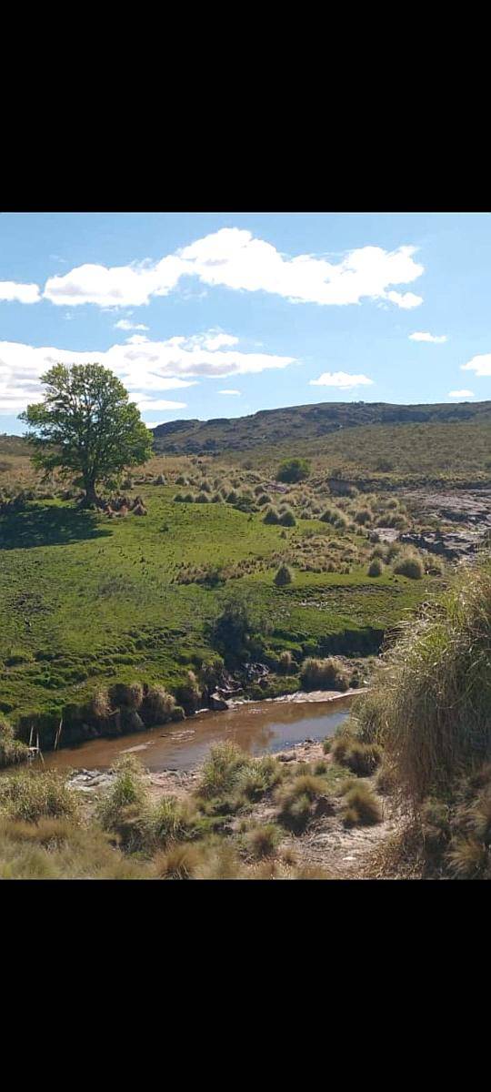 Cerros Largos ( la Carolina ) 154 Has