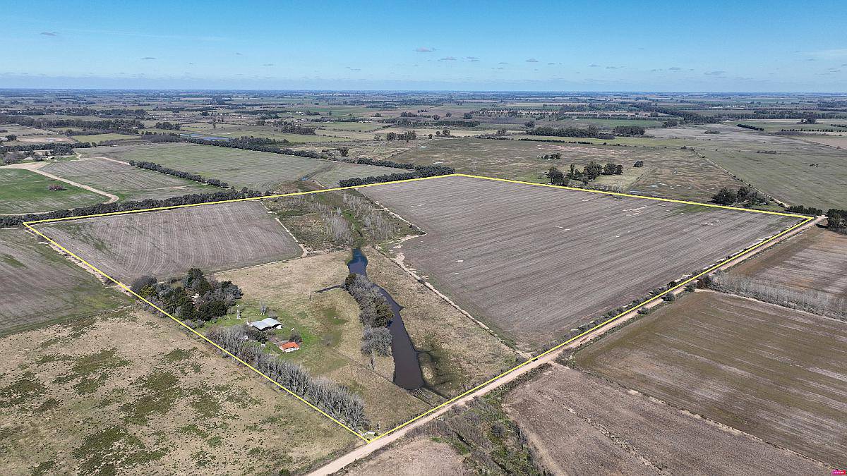 68 Has. Campo Agrícola con Mejoras en Zárate