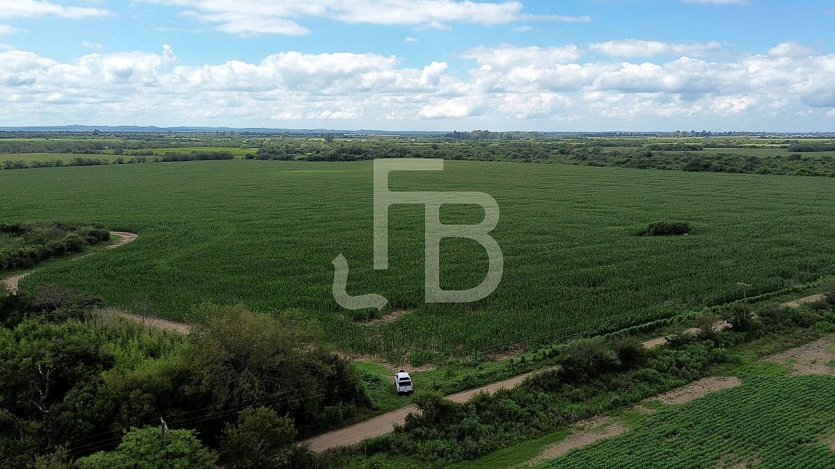 Campo Agrícola 35 Has, Cañada de Río Pinto. Escritura