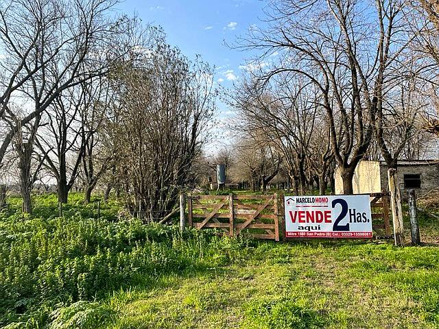 Chacra Sobre Ruta con Mejoras