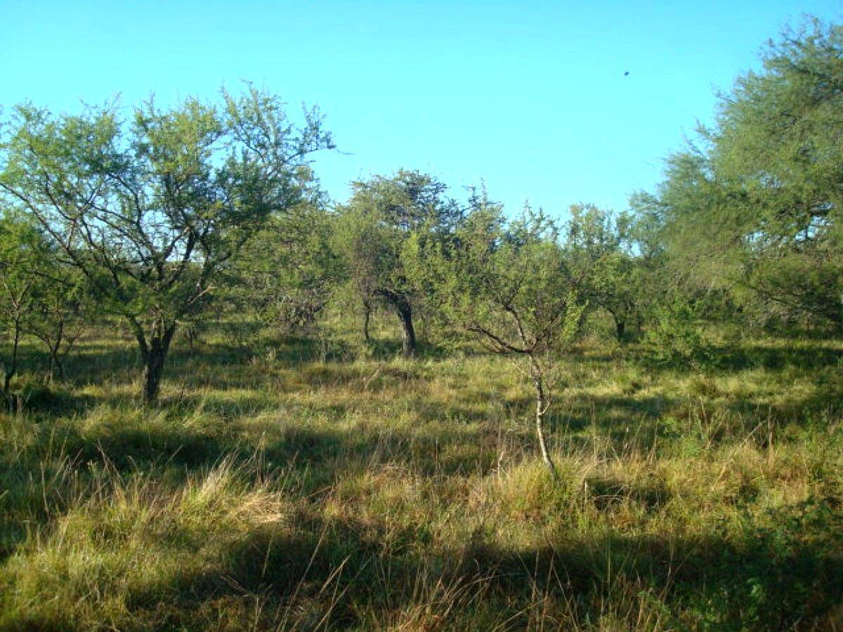 1400hectareas Ganaderas en Mojones Norte