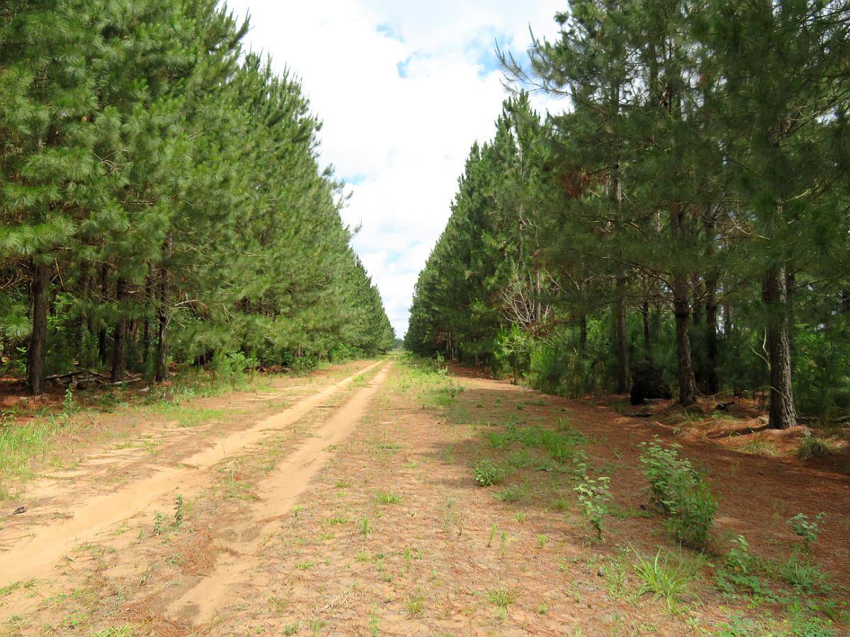Ituzaingó - 222 Ha - Corrientes