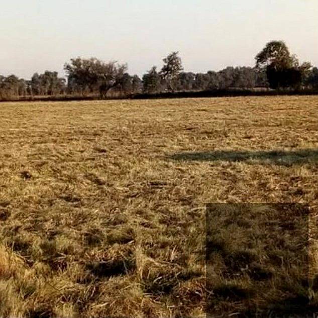 Lote Terreno 62x100m Cerca AV. y Negocio Chino ETC Dueño DIR
