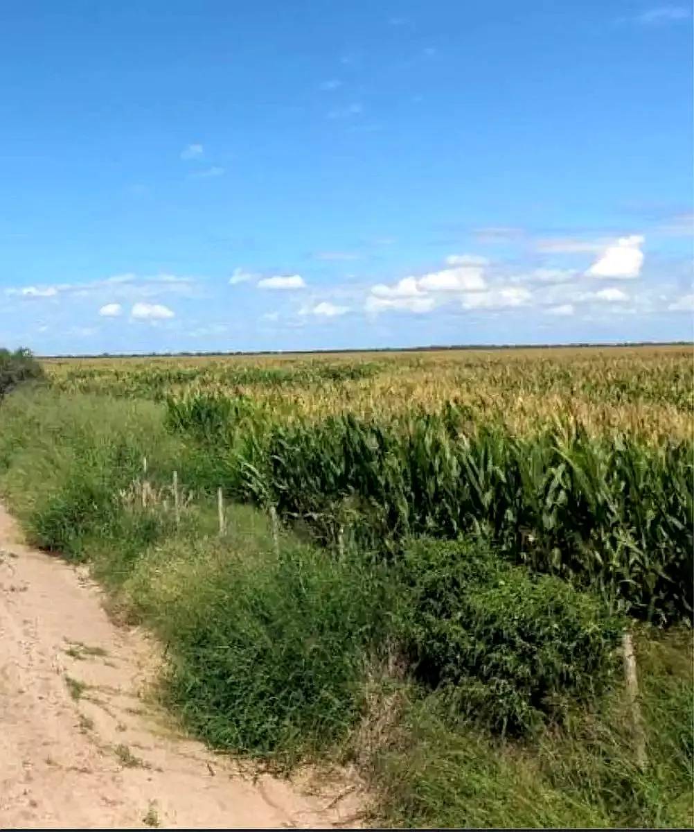 Campo C/acuifero, Pegado a la Ciudad Termas de Rio Hondo