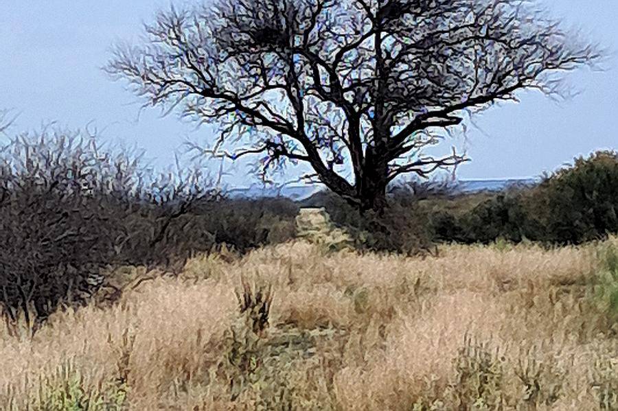 Campo 1200 Hectáreas Sobre Ruta Provincial 30