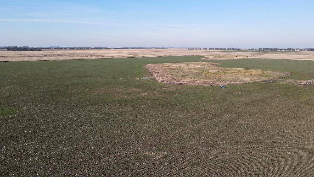 Ramos Otero, Balcarce, Buenos Aires - 148 Ha