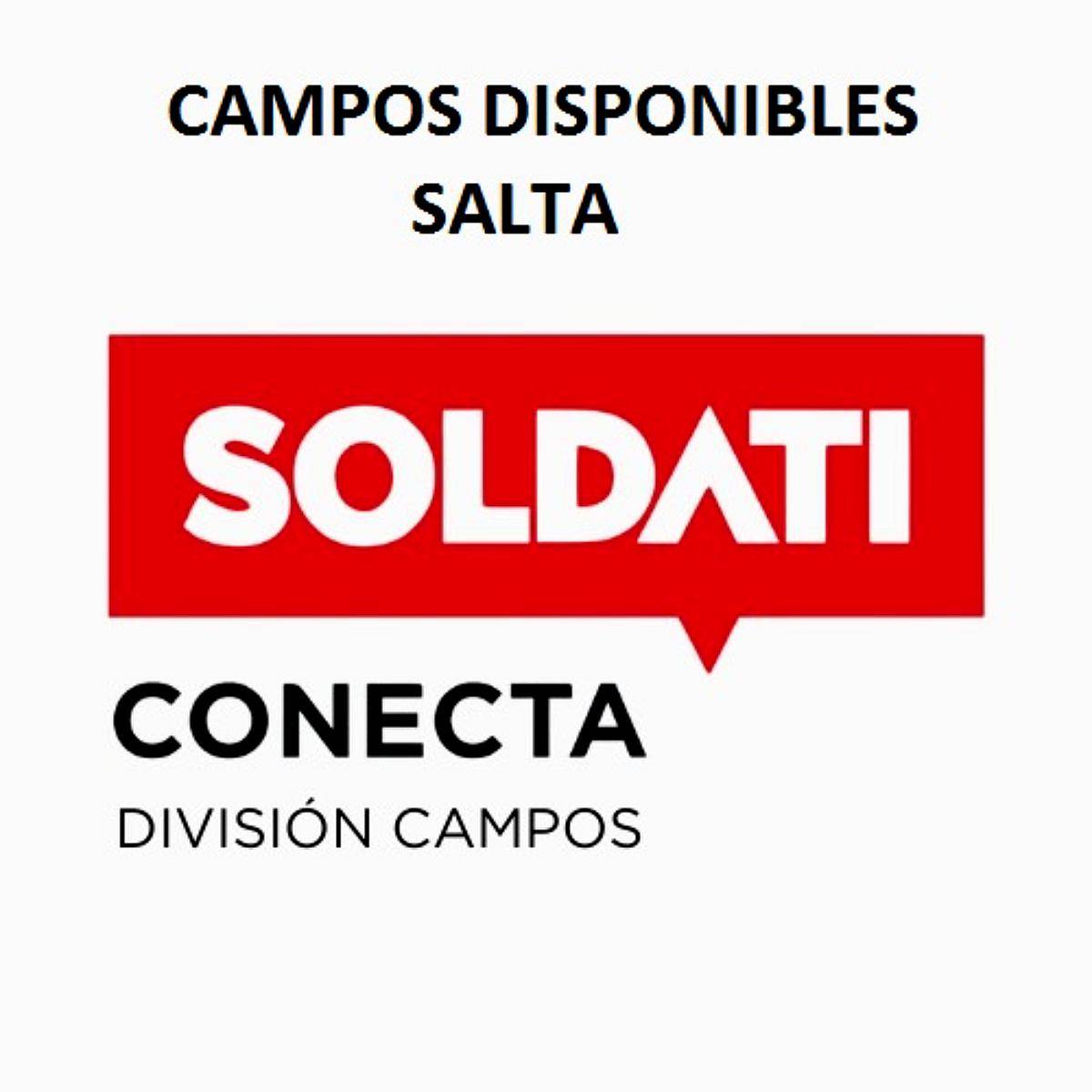 Campos Disponibles Prov. Salta