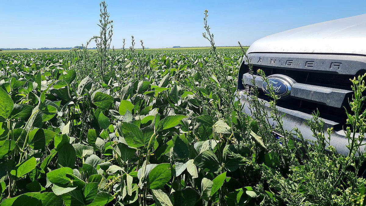 Vendo 700 Hectáreas Agrícolas Vicuña Mackenna
