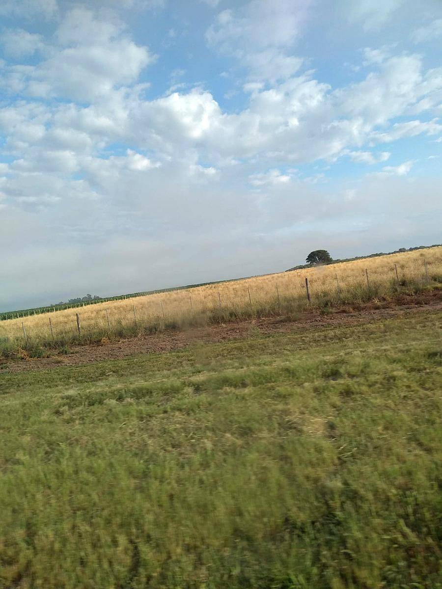 Invertir en Tierra HOY ES Asegurar el Mañana.