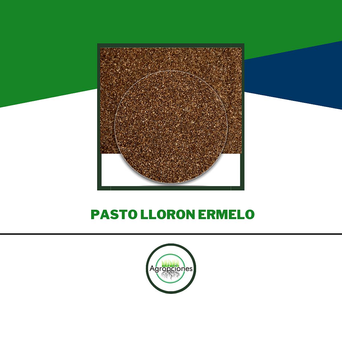 Semilla de Pasto Lloron Ermelo