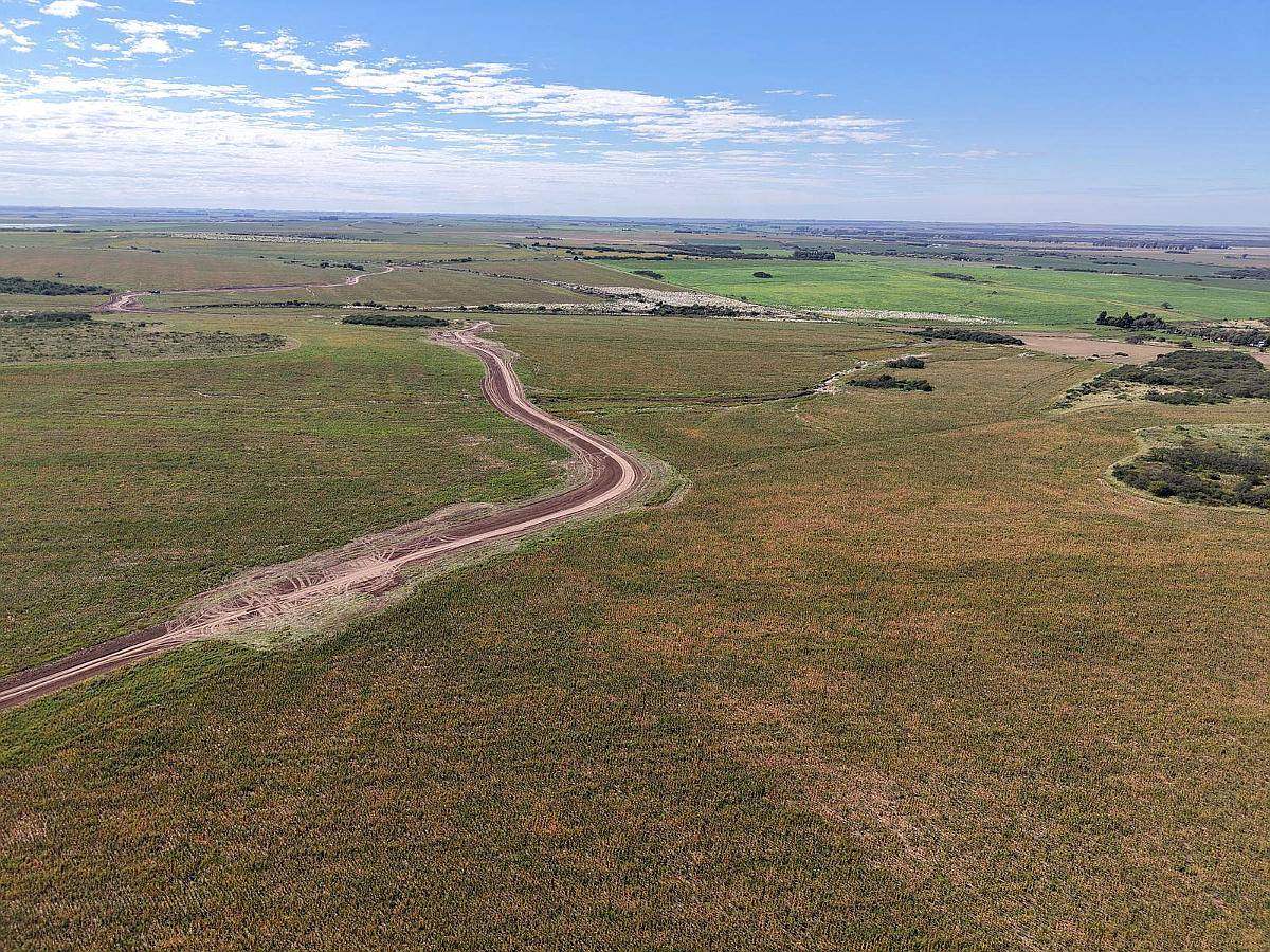Las Vizcacheras, Pedernera, San Luis - 266 Ha