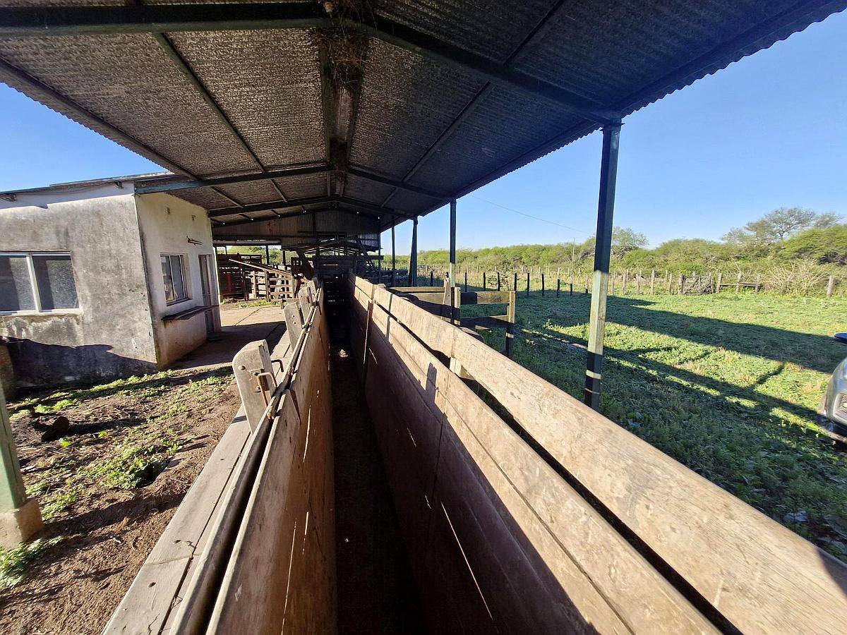 Alto Alegre, Patiño, Formosa - 46.106 Ha