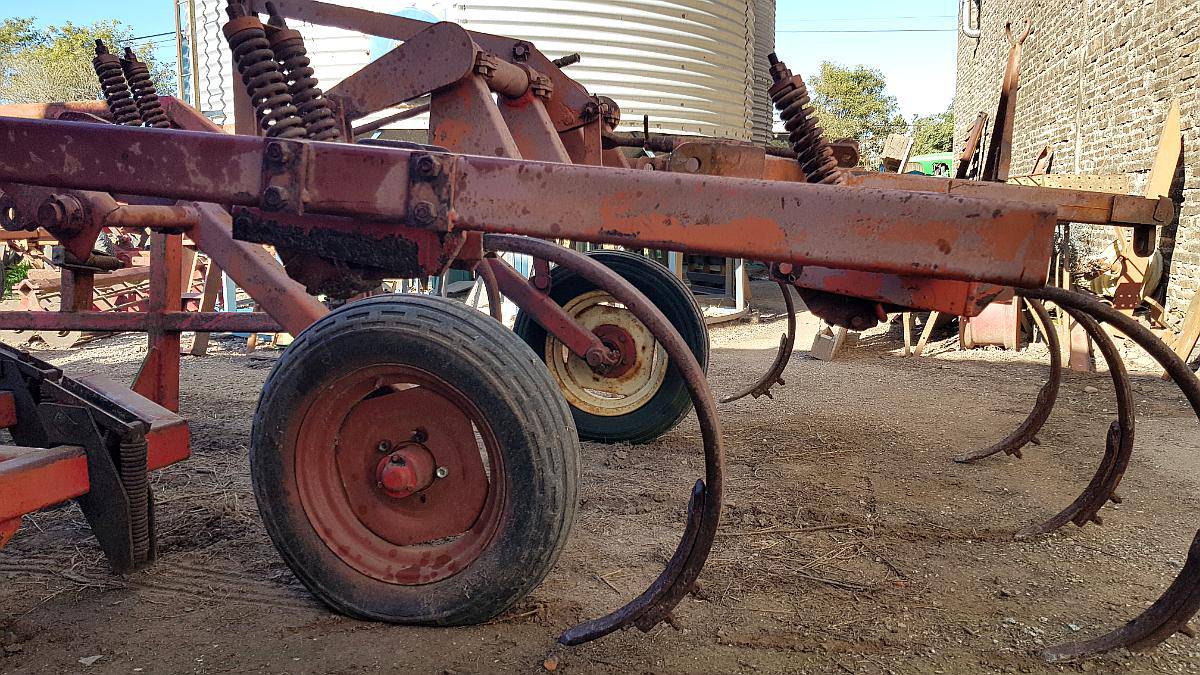 Giorgi de 7 Puas con Resorte