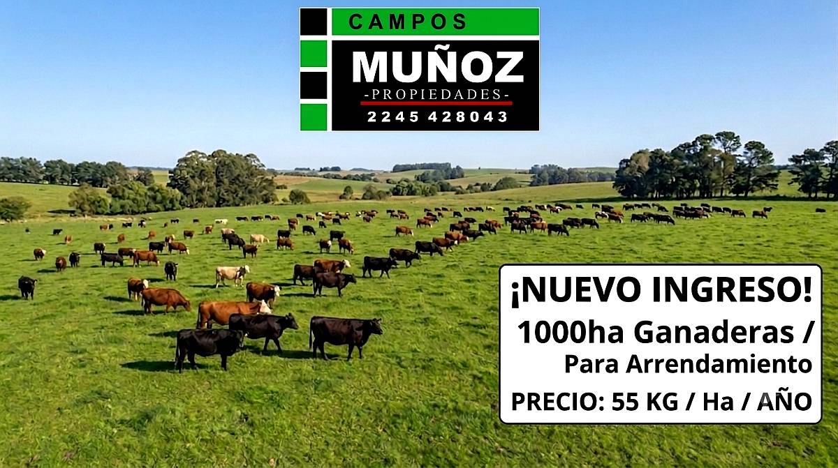 Campo 1000ha Ganadero en Arrendamiento