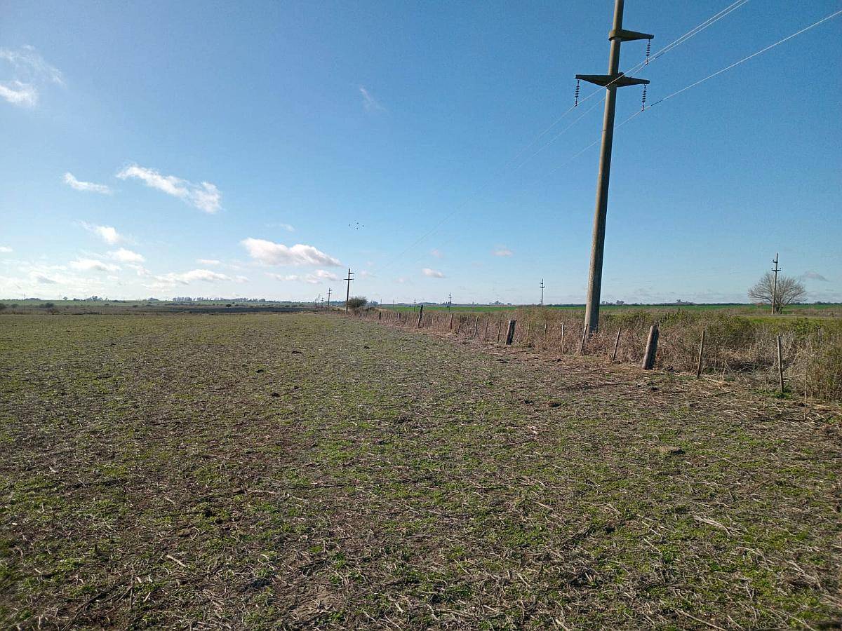 250 Ha Sobre Ruta 12. Buena Aptitud Agrícola
