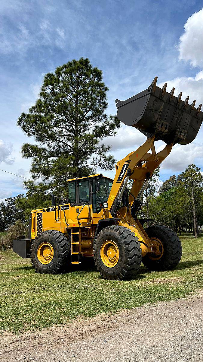 Pala Cargadora Pauny/lovol P300