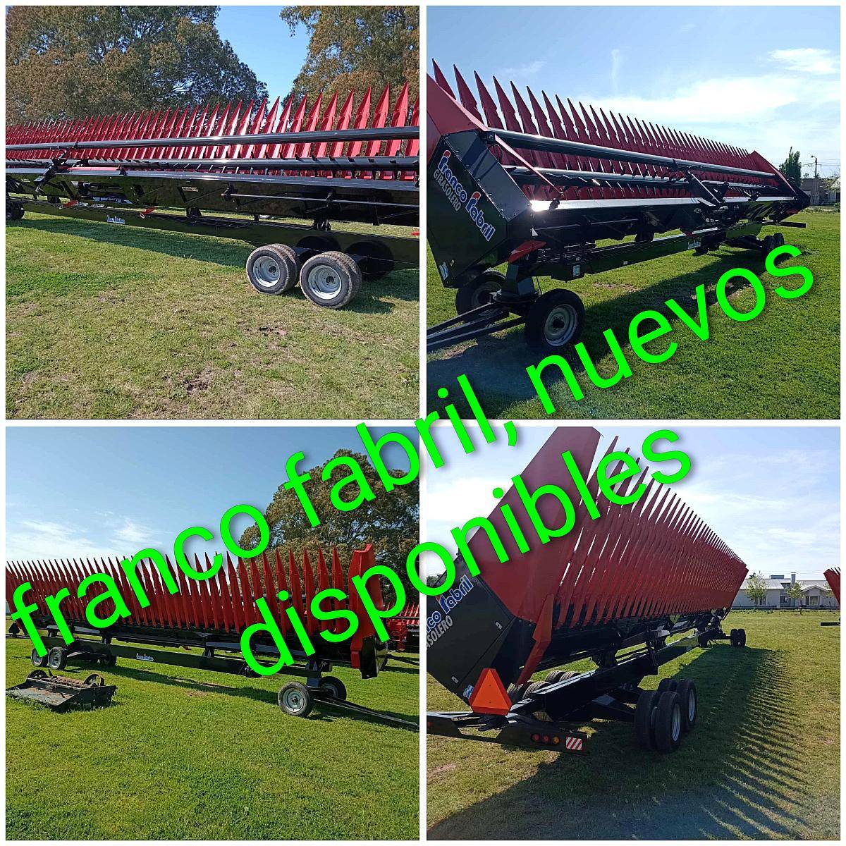 Girasoleros de 19 y 21 a 52 Disponibles