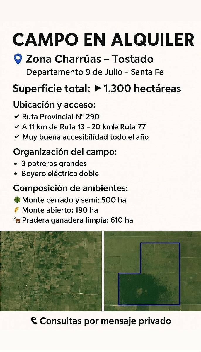Alquilo ya 1,300 Hectareas de Campo Ganadero