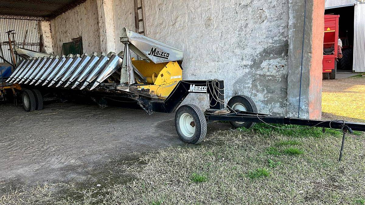 Maizco Premium 15 a 42 cm año 2018