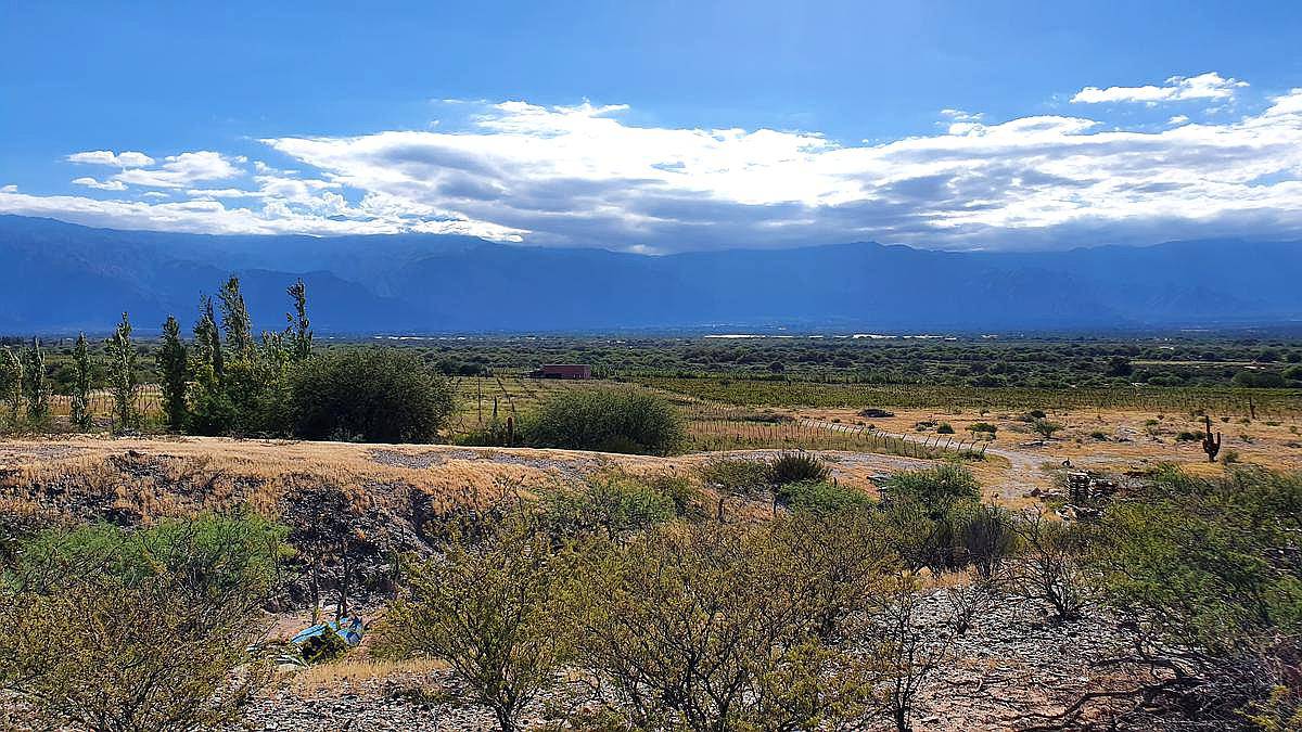 Cafayate , Salta, Argentina