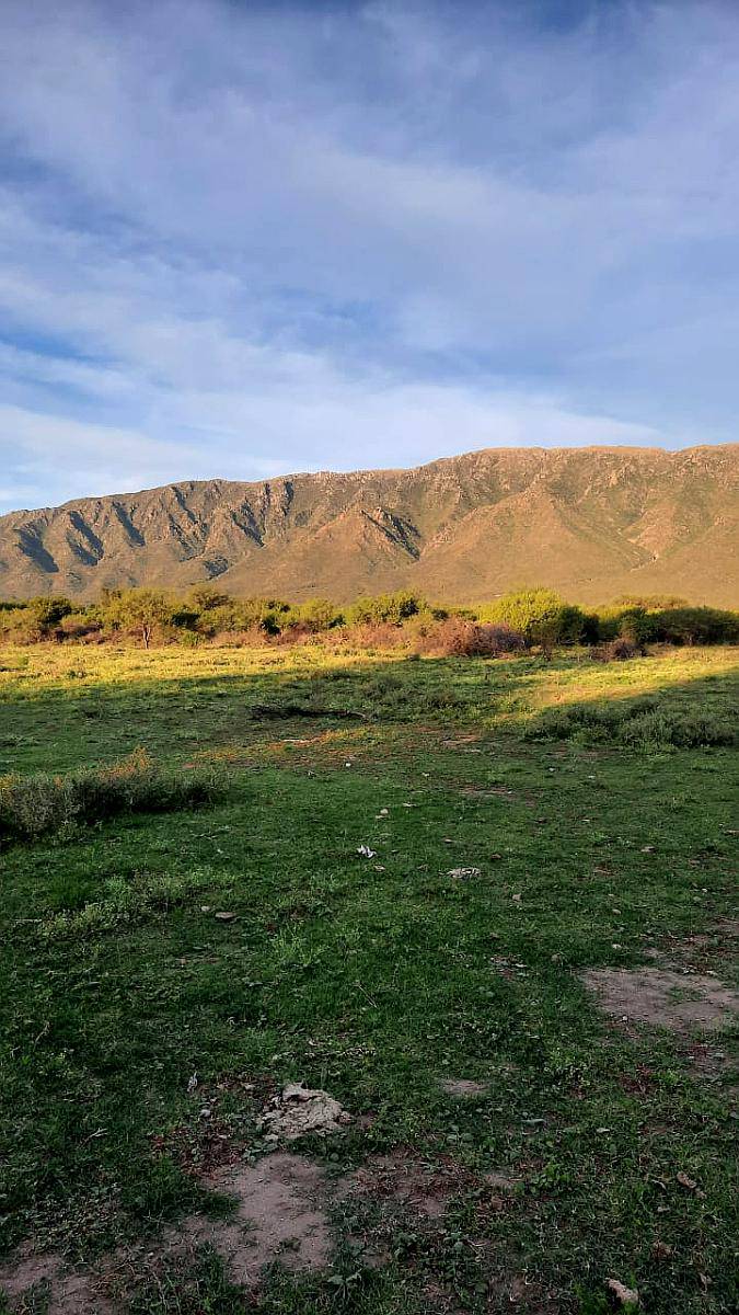 Vendo Campo en San Francisco del Monte de ORO