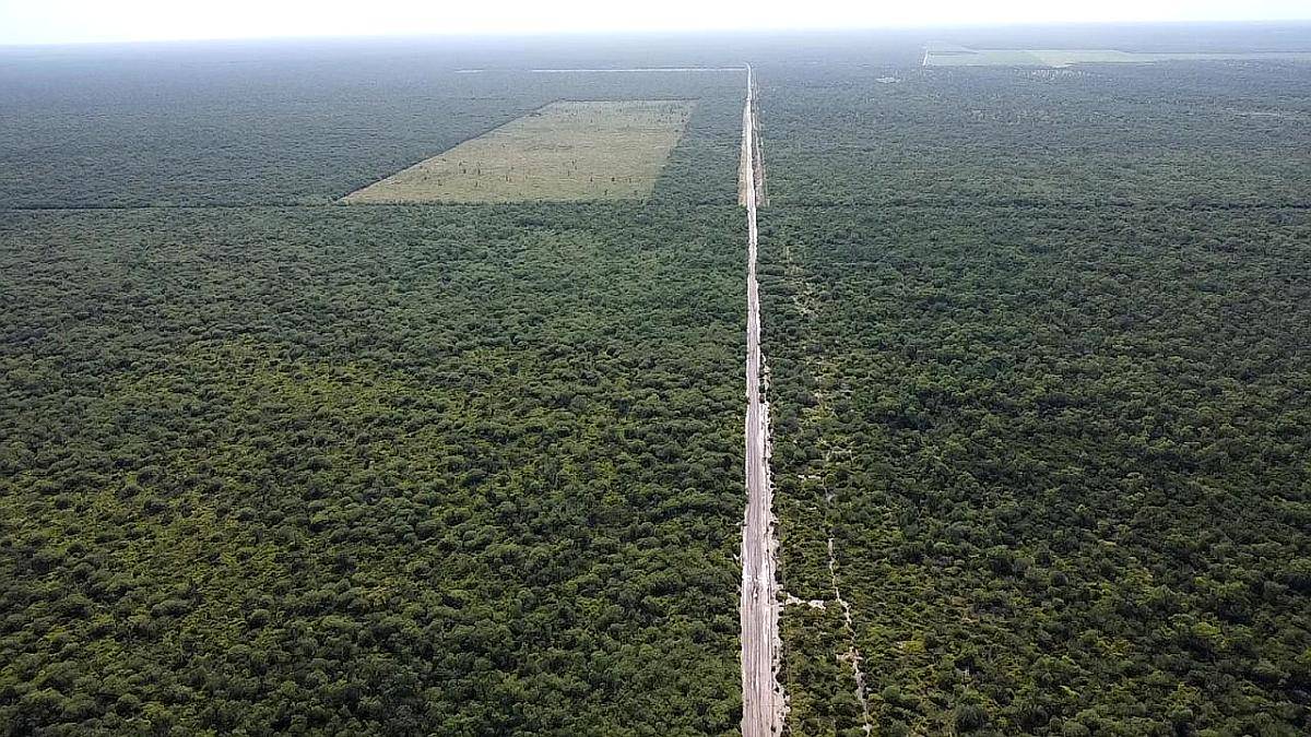 Muy Buen Campo de en el Bobadal