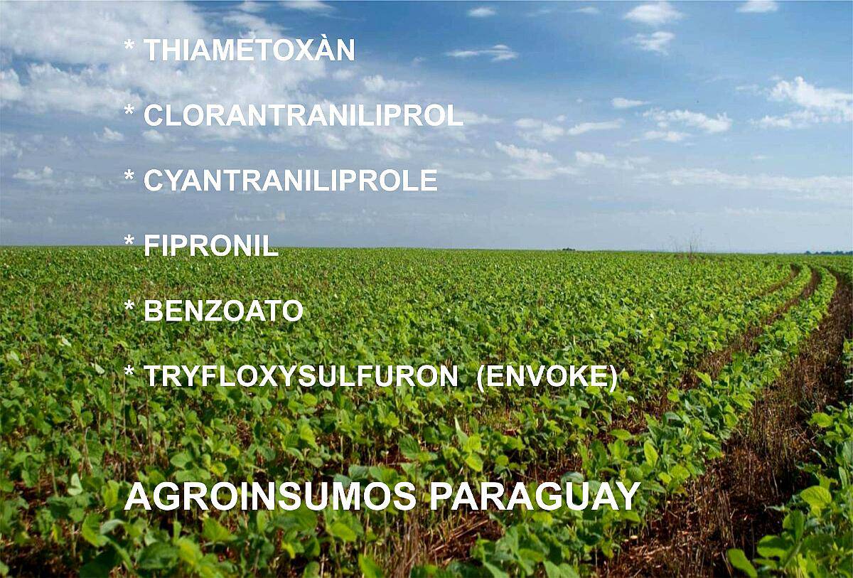 Tiametoxan - Clorantra - Fipronil - Cyantra - Isocycloseram
