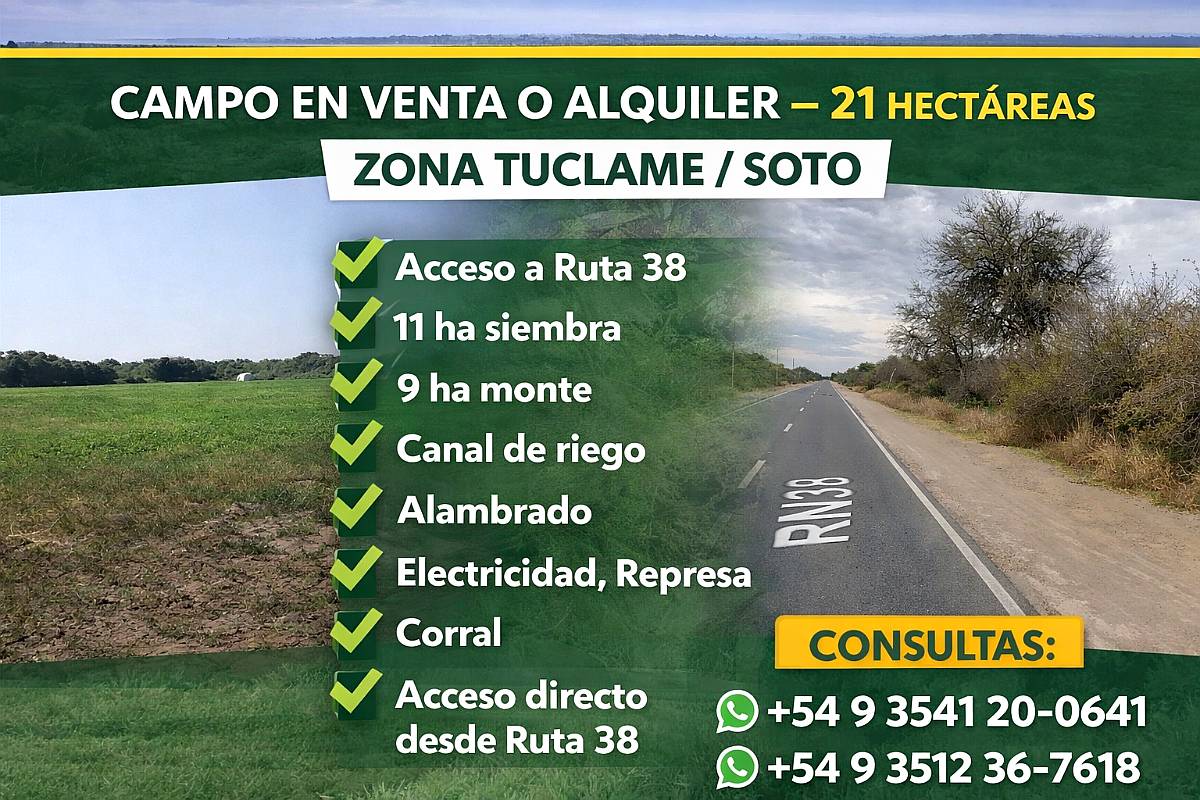 Campo en Venta – Oportunidad en Zona Tuclame / Soto