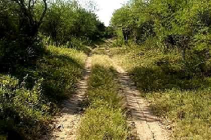 Se Vende Campo en Colonia Dora Monte Virgen a Desrrollar.
