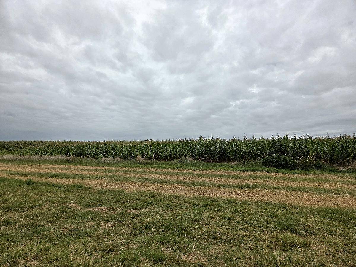 350 Hectareas Bolivar Venta