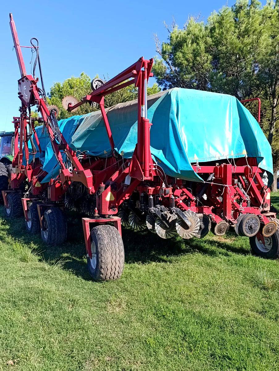 S. G. Fino Crucianelli Pionera 41 a 21 año 2021 con Alfalfer