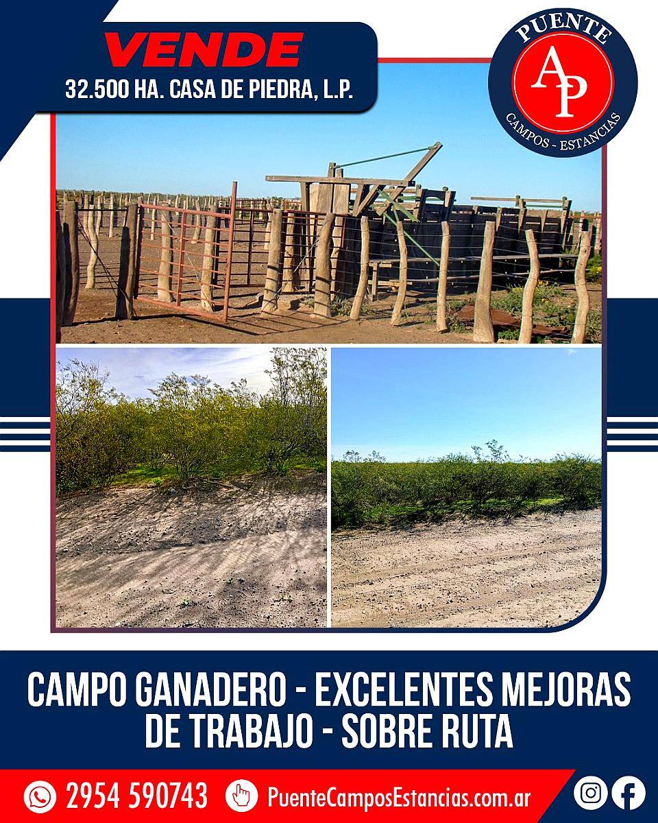 En Venta 32.500 HA. Casa de Piedra, la Pampa