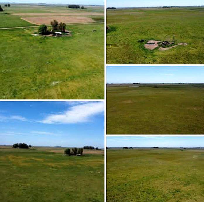 Campo en Venta en Rauch para Ganadería