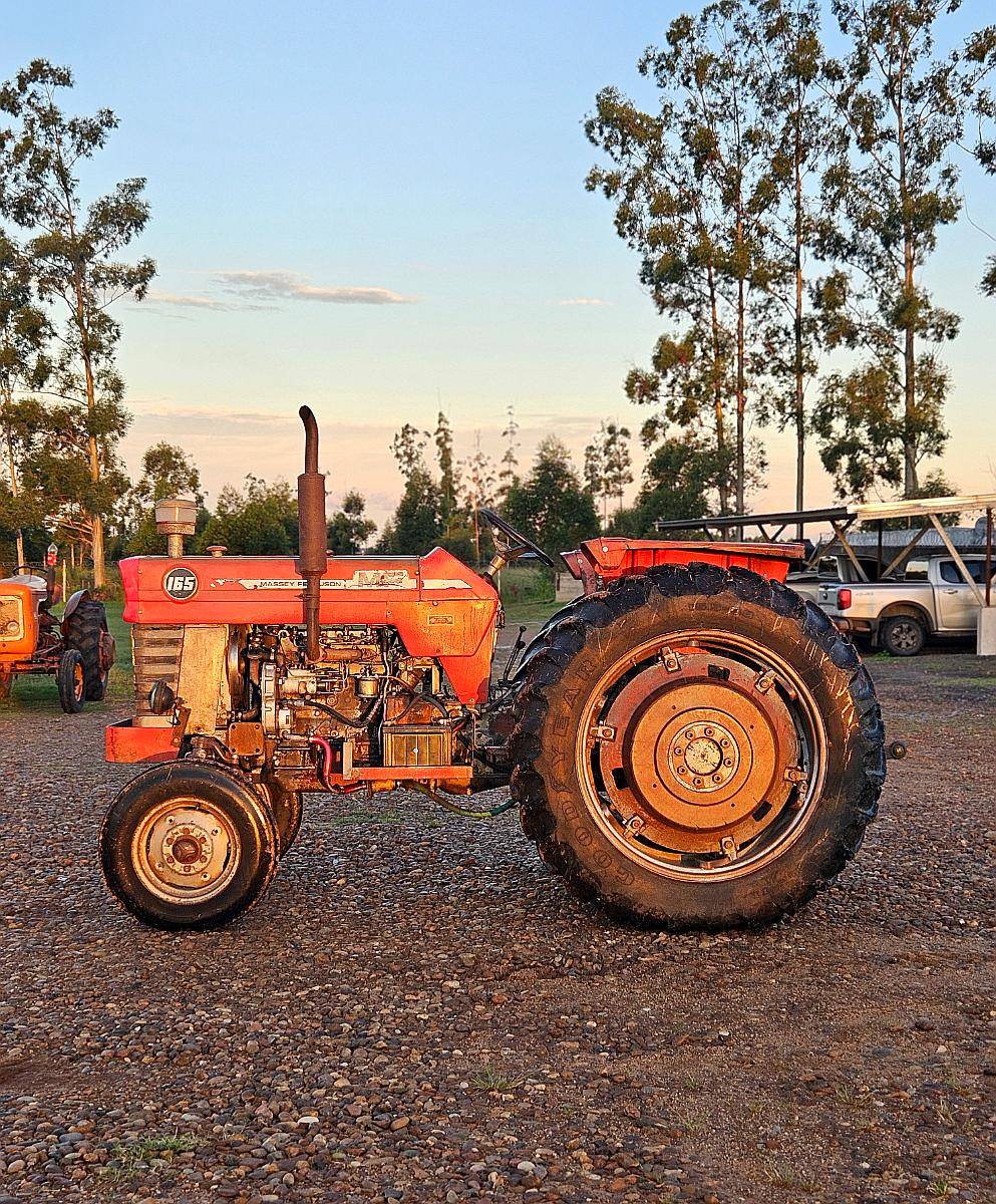 Tractor Massey Ferguson 165