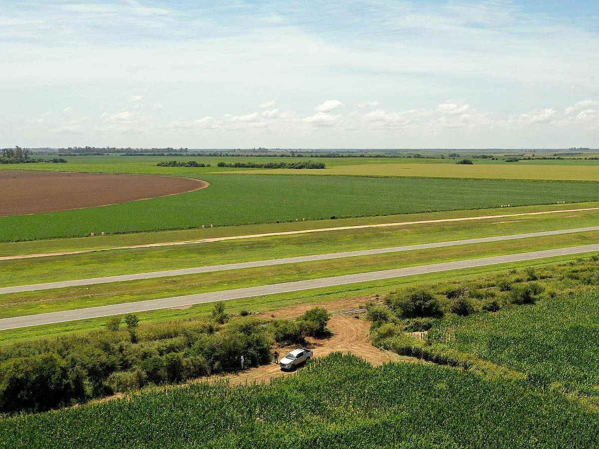 Piquillín, Río Primero, Córdoba - 56 Ha