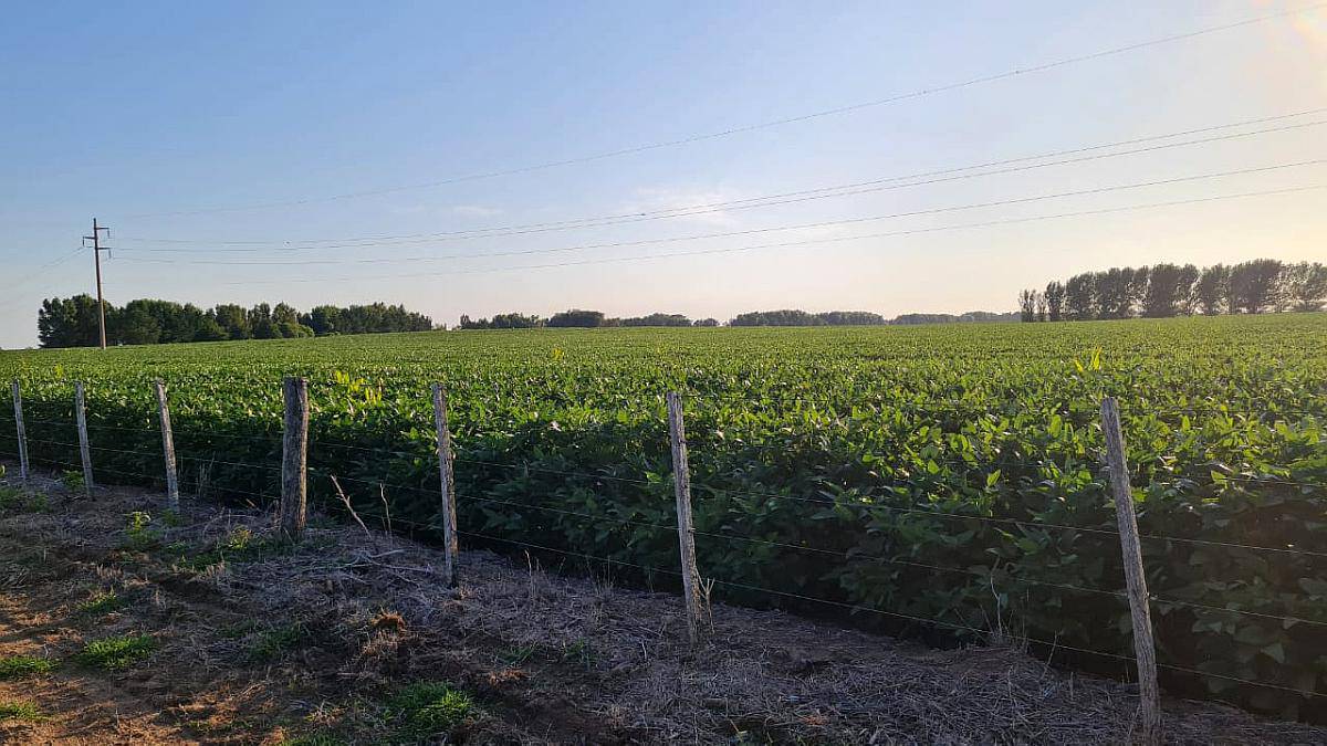 Vendo 17 Ha Sobre Ruta INT Alvear(loteo , Parque Industrial)