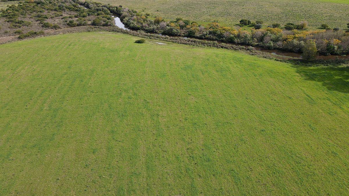 280 Hectáreas Agrícolas, Todas las Mejoras. Gualeguaychú.