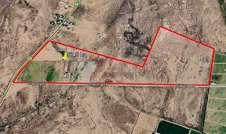 Finca en Venta 57 Hectáreas - Rpn° 24- la Pega Mendoza
