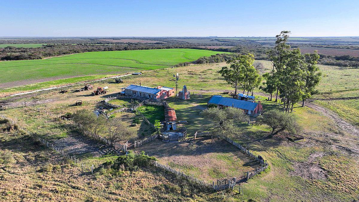 Pcia. de Entre Rios - San Jose de Feliciano 1960 Ha