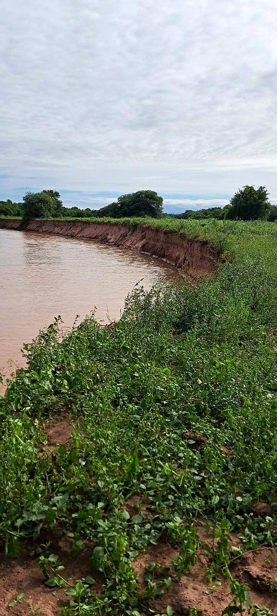 Campo en Departamento de Orán (por Camino de las Varas)