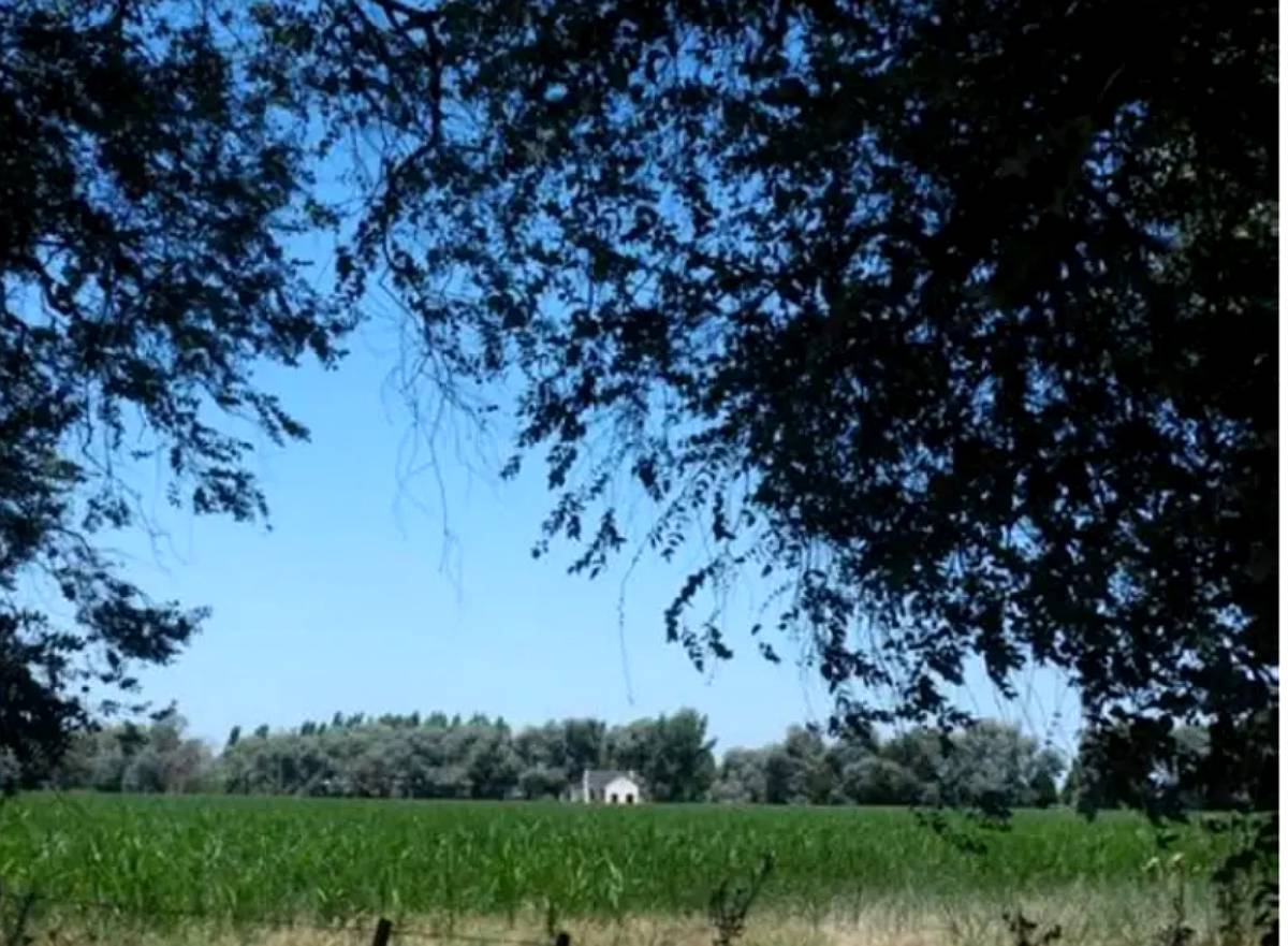35 Has Agrícola Arboledas Haras Ruta 8