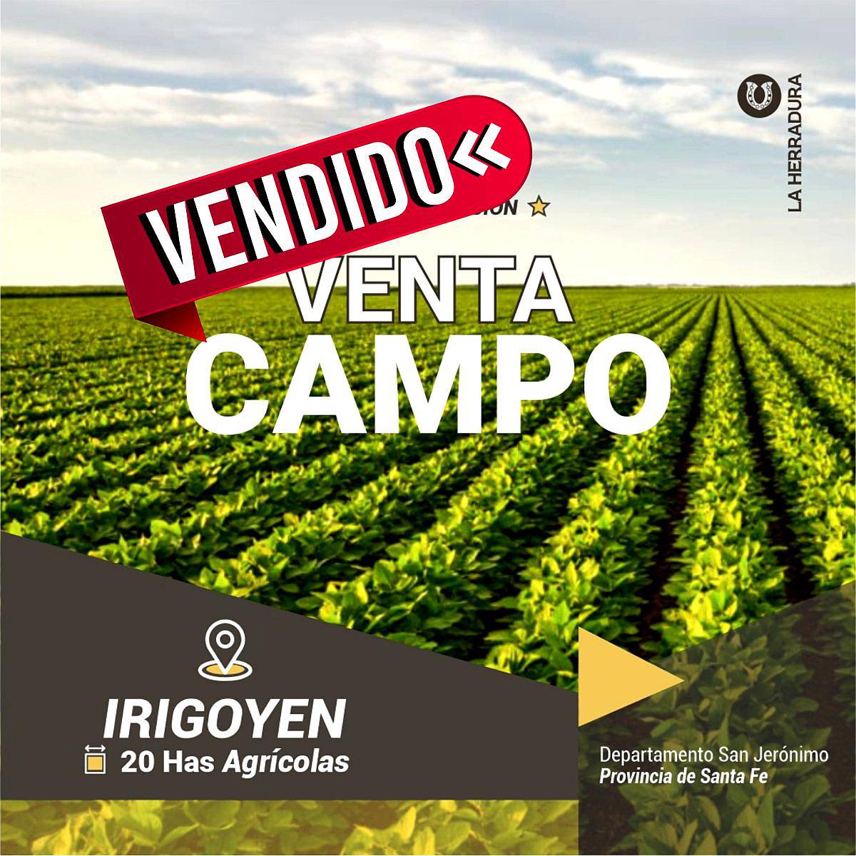 Irigoyen 20 Has Agrícolas. Retasado. Campo en Venta